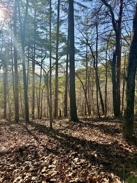 Vacant Land For Sale - 334 Packet Court<br/> Ranger, GA 30734