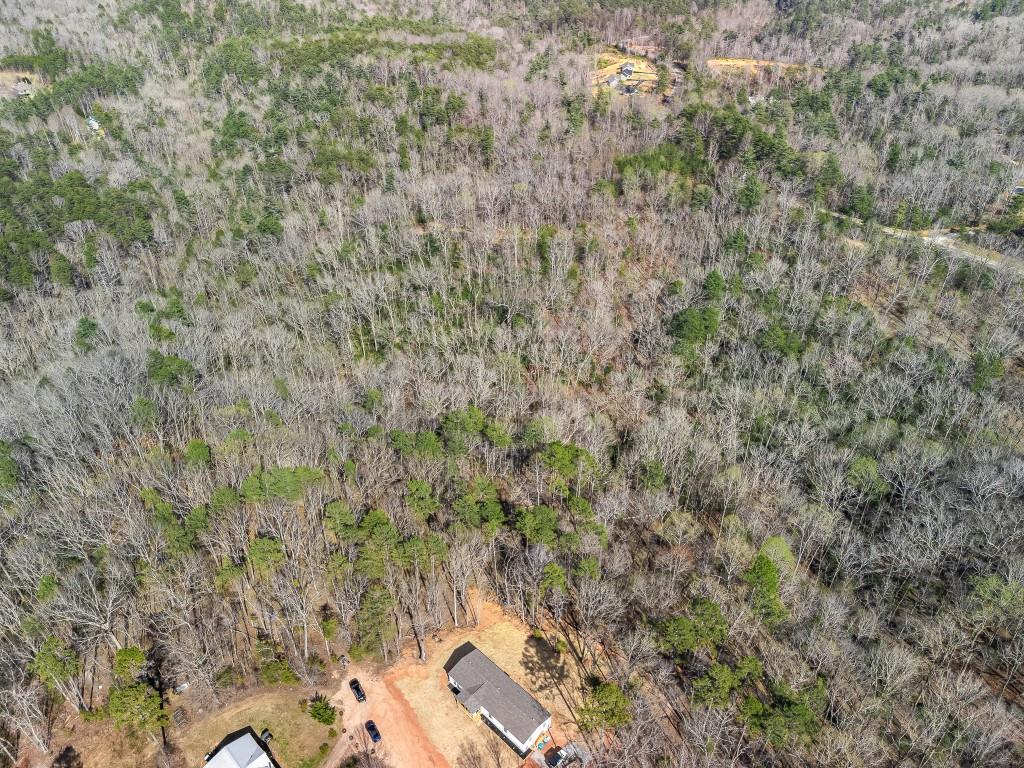 Talonega Trail, Dawsonville, Georgia image 4