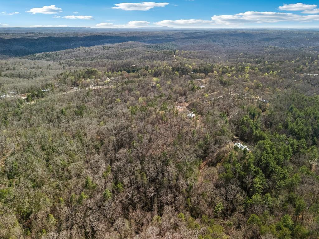 Talonega Trail, Dawsonville, Georgia image 9