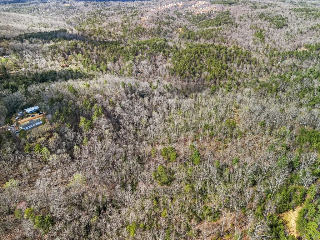 Talonega Trail, Dawsonville, Georgia image 8