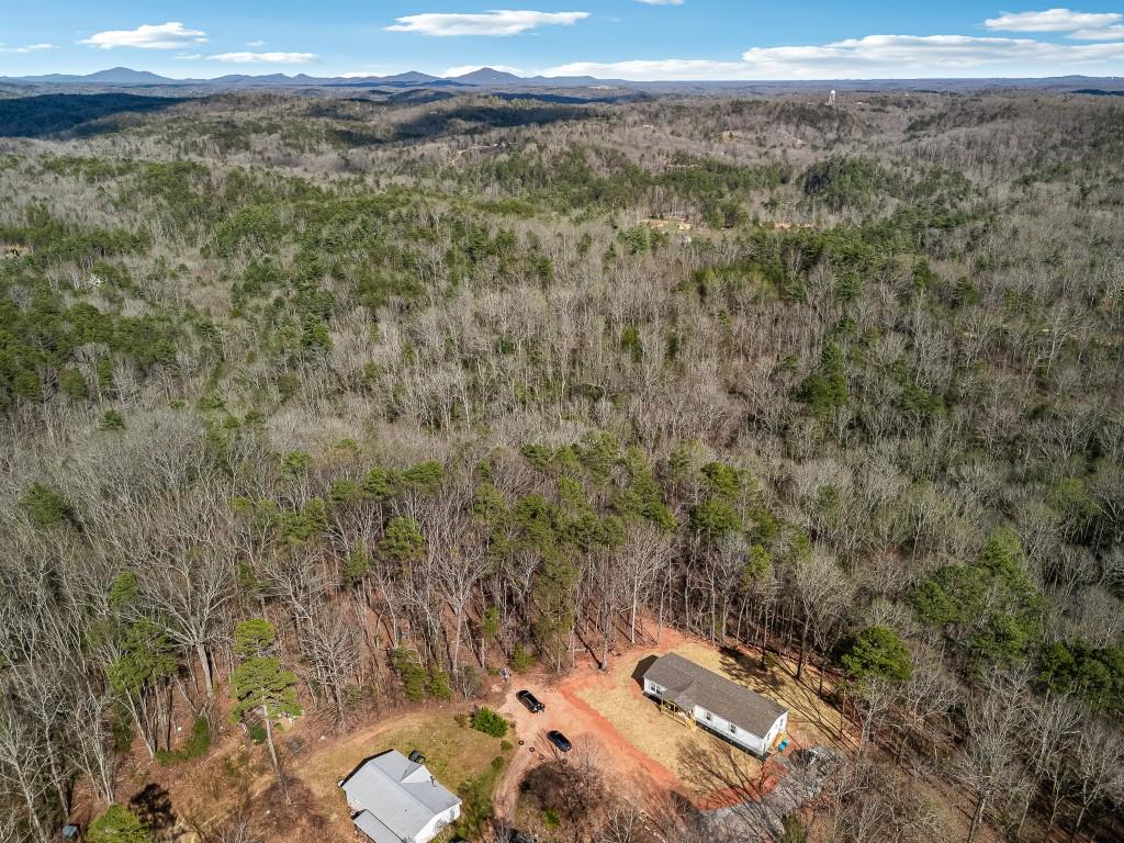 Talonega Trail, Dawsonville, Georgia image 6