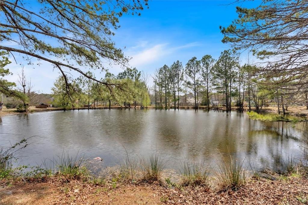 16 Quarter Horse Drive, Rome, Georgia image 36