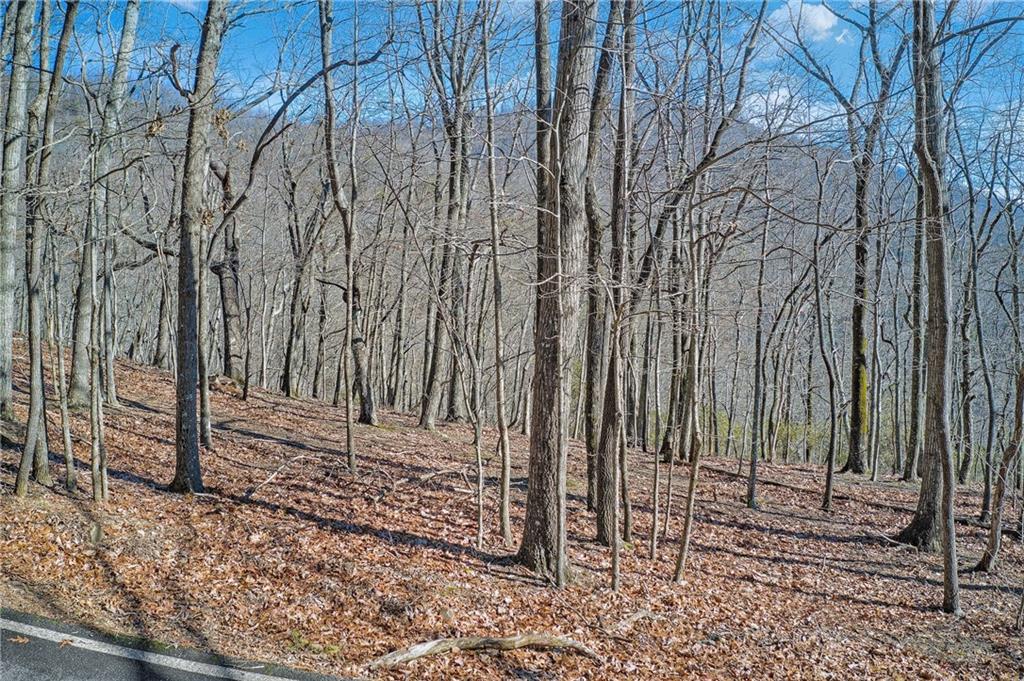 View of wooded area