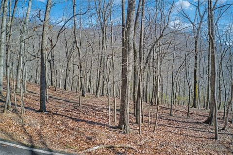 Vacant Land For Sale - 6354 Huckleberry<br/> Jasper, GA 30143