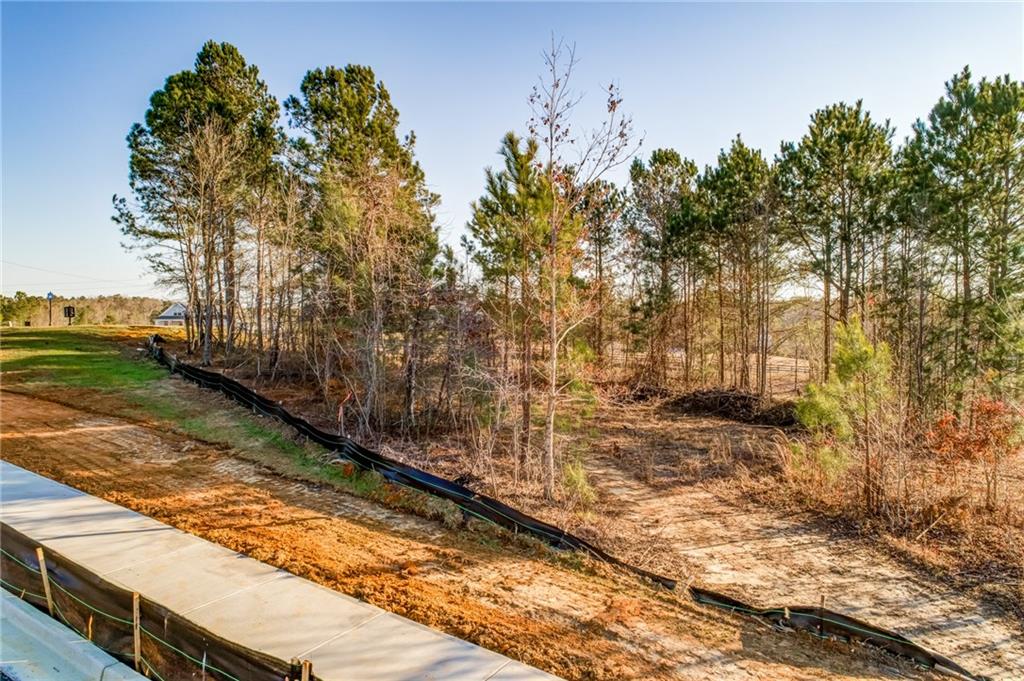 1055 Mt Carmel Church Lane, Lot 3 Ln, Canton, Georgia image 34