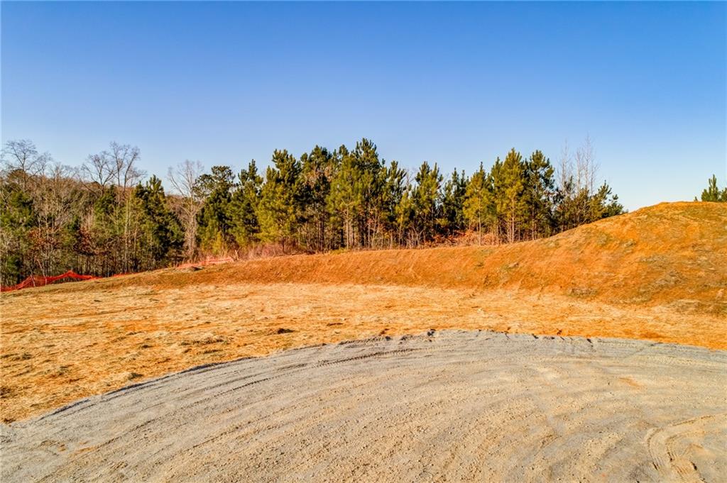 1055 Mt Carmel Church Lane, Lot 3 Ln, Canton, Georgia image 31