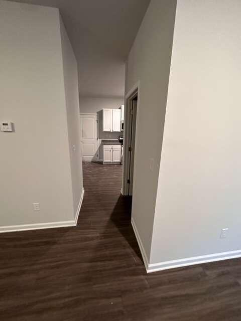 317 Lambert Overlook Circle, Carrollton, Georgia image 7