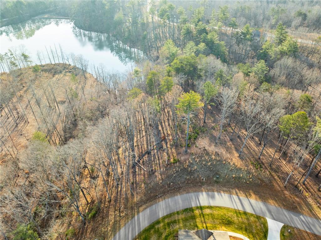 Yonah Lake Drive, Sautee Nacoochee, Georgia image 3