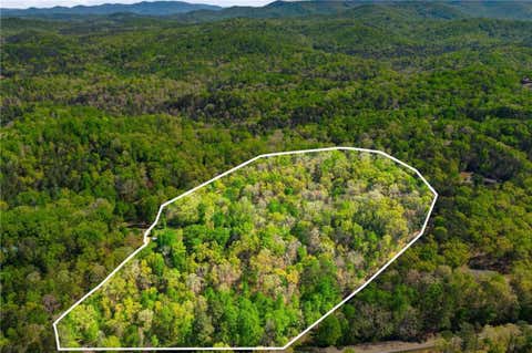 Vacant Land For Sale - 1933 Highway 136<br/> Talking Rock, GA 30175