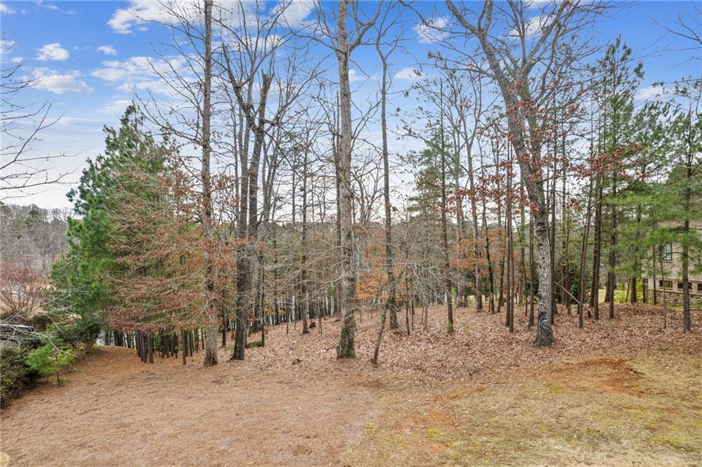 4921 Roaring Fork Pass, Suwanee, Georgia image 4