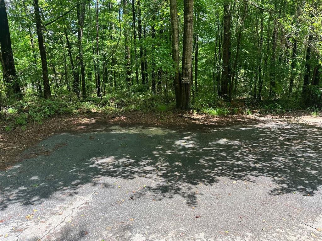 230 Vaughn Circle, Griffin, Georgia image 9