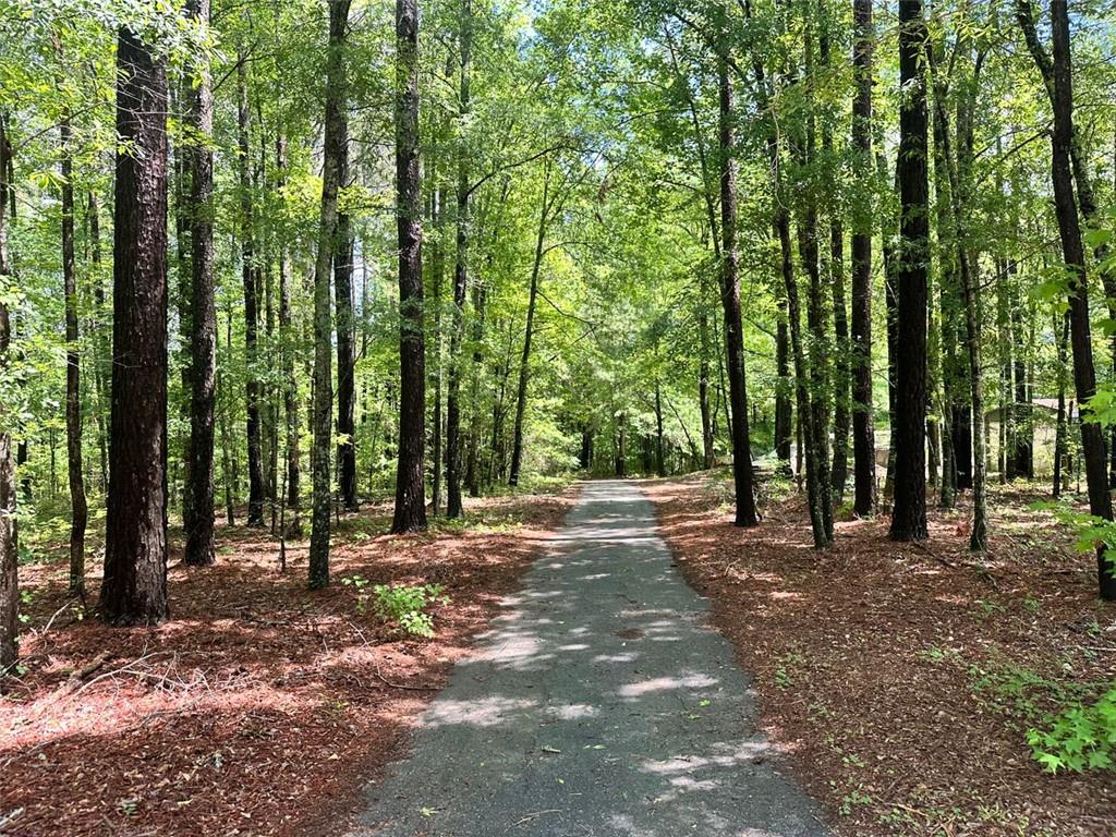 230 Vaughn Circle, Griffin, Georgia image 6