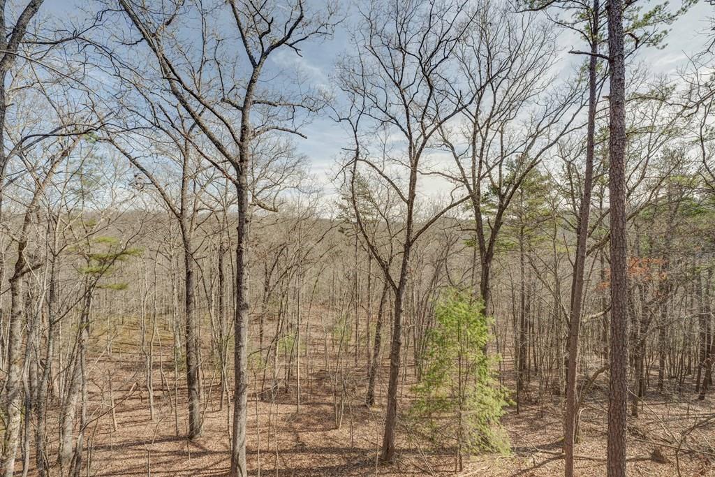 58 Wolf Creek Drive, Mineral Bluff, Georgia image 2