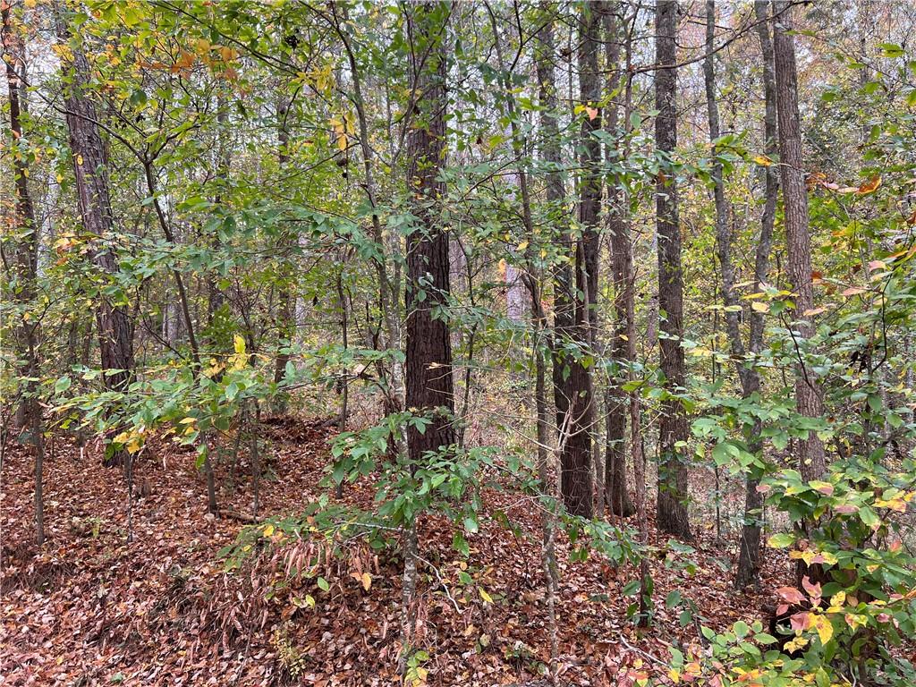 Baugh Mountain Road, Sugar Valley, Georgia image 1