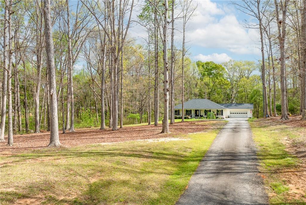 612 Rockyford Road, Carnesville, Georgia image 9