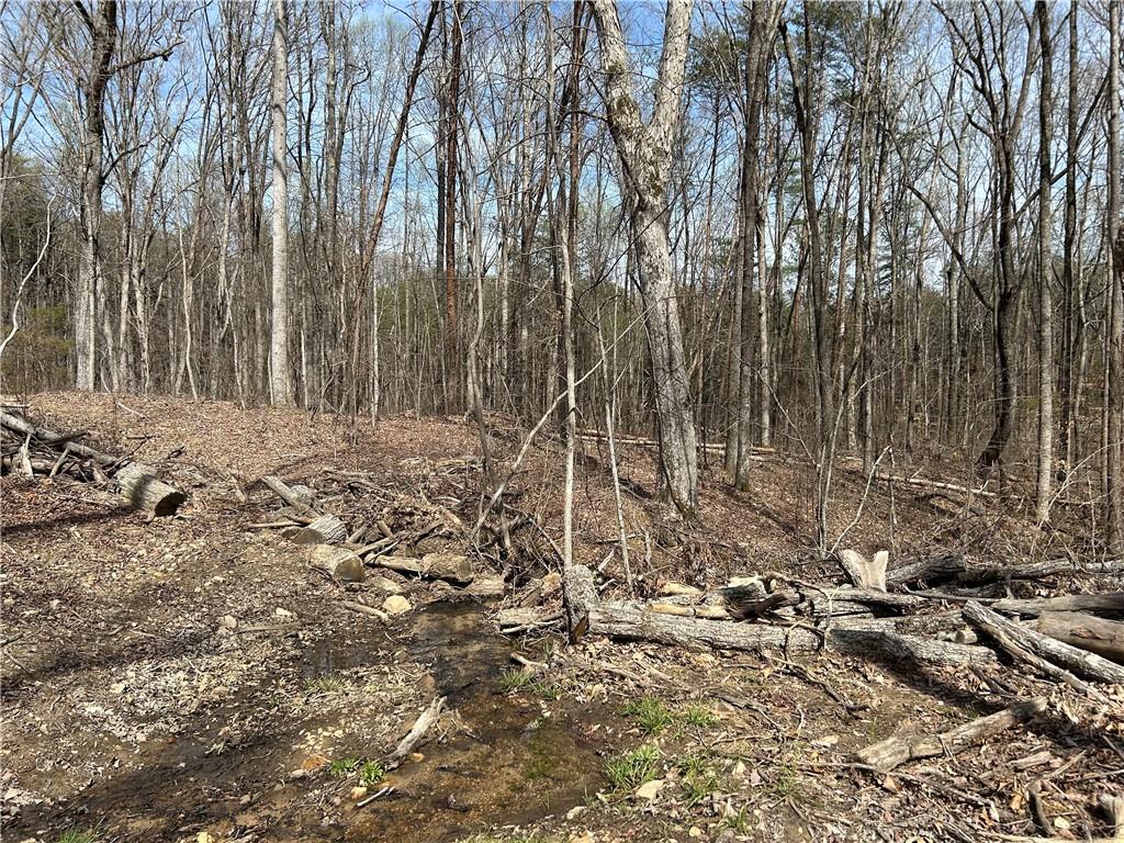 N Dug Gap Road, Dalton, Georgia image 4