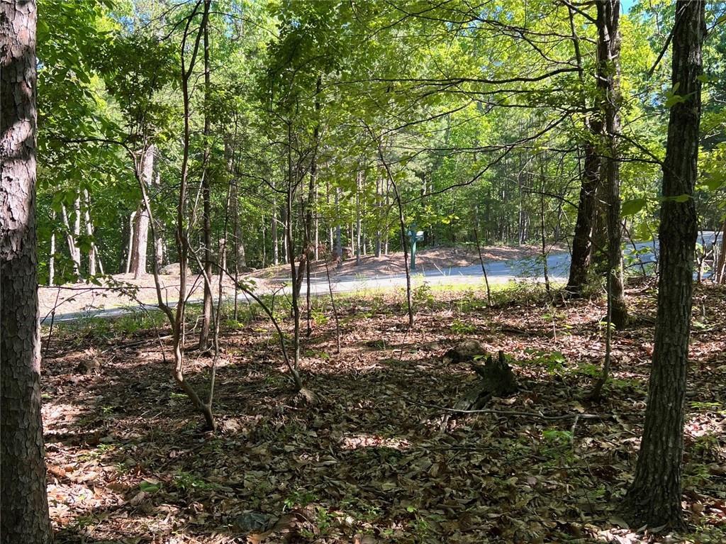 3285 Wood Poppy Drive, Jasper, Georgia image 8