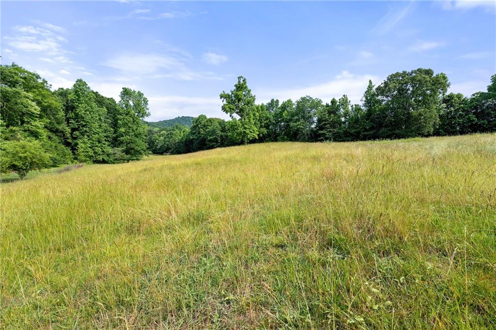 Whippoorwill Trail, Hartwell, Georgia image 11