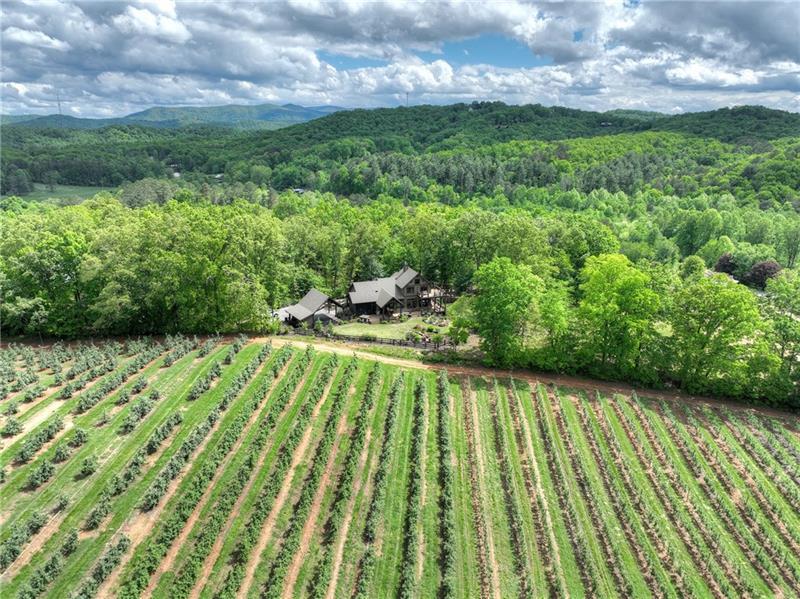 1241 Scenic Drive