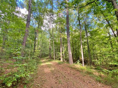 Vacant Land For Sale - 153AC White Path Road<br/> Ellijay, GA 30540
