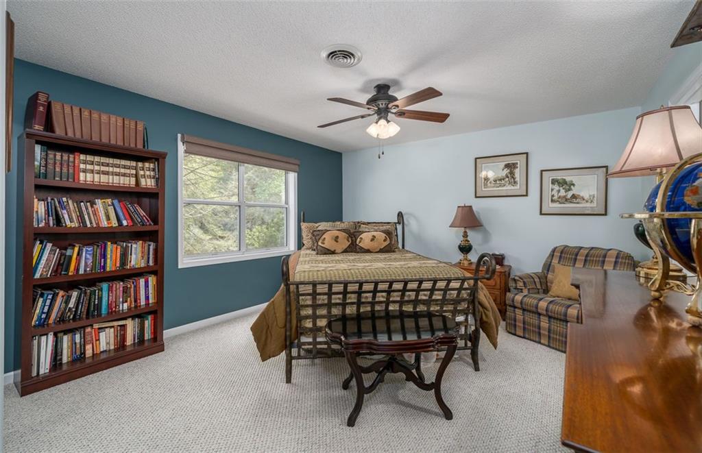 284 Wedowee Court, Ellijay, Georgia image 29