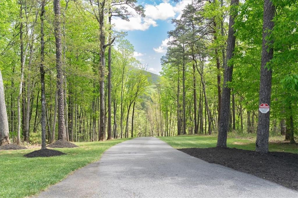 545 Cowart Mountain Road