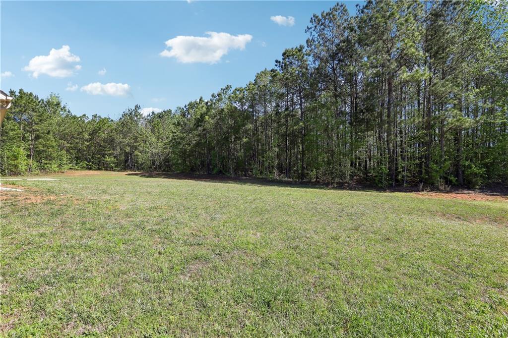 111 Bridle Path, Griffin, Georgia image 34