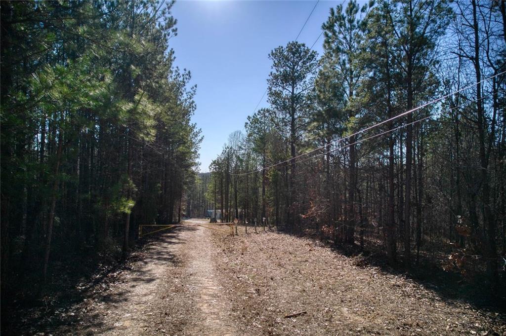 302 Coley Path