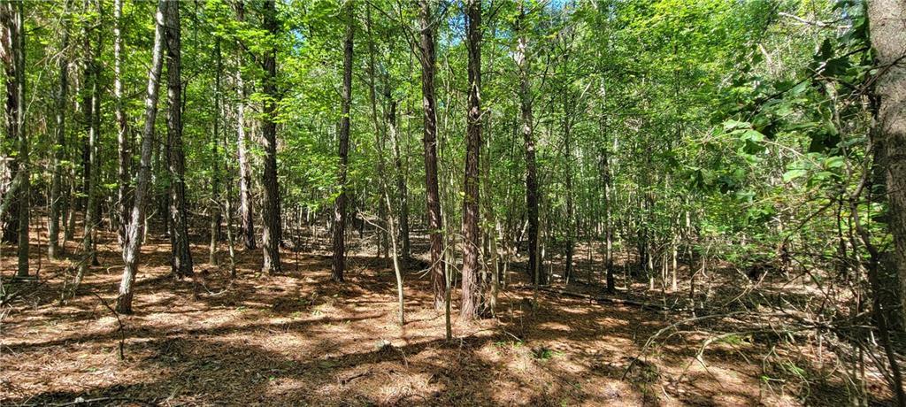 5 Ripplewood Trail