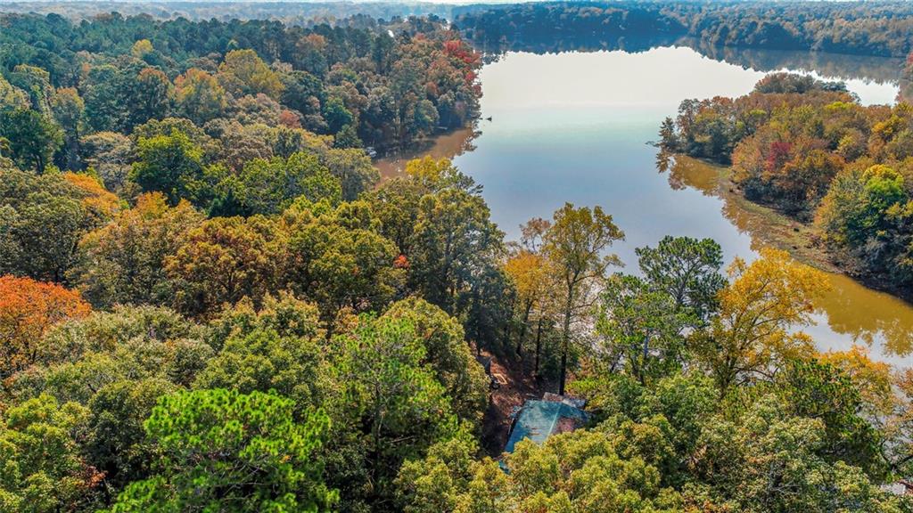 251 Weavers Lakefront Road, Jackson, Georgia image 7