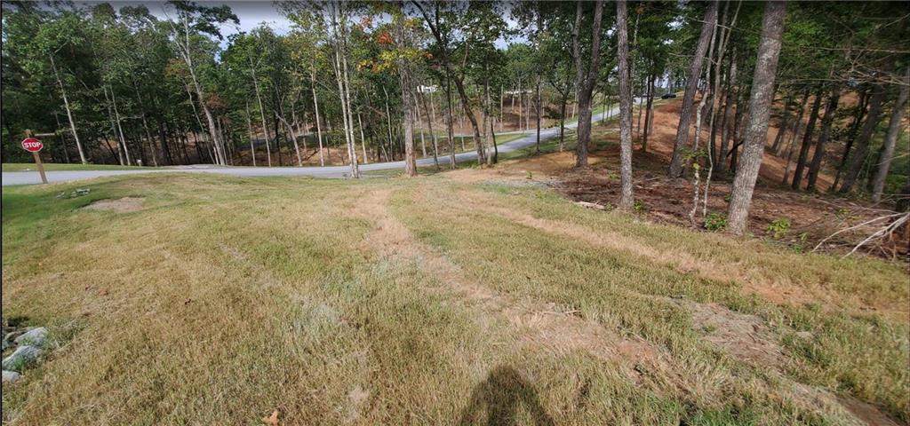 Lot 96 Jakes Landing Way