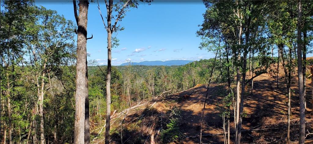 Lot 96 Jakes Landing Way, Ellijay, Georgia image 1