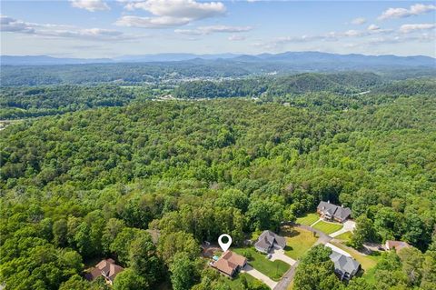 A home in Ellijay