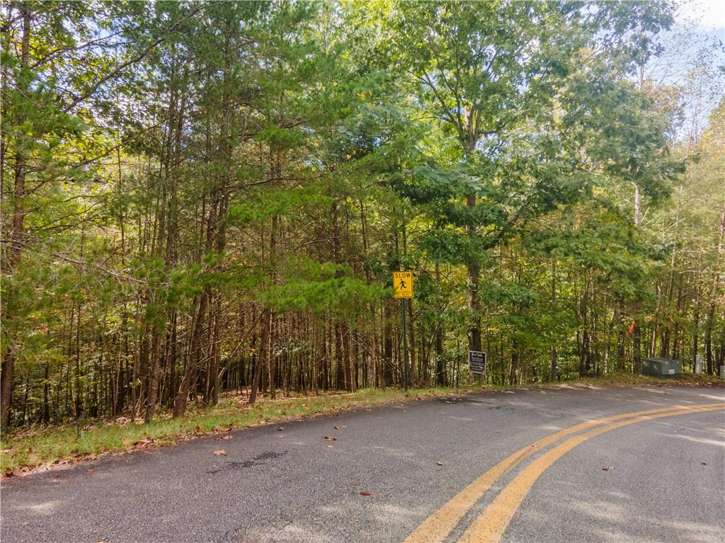 4 & 5 Trevor Trail, Dahlonega, Georgia image 3