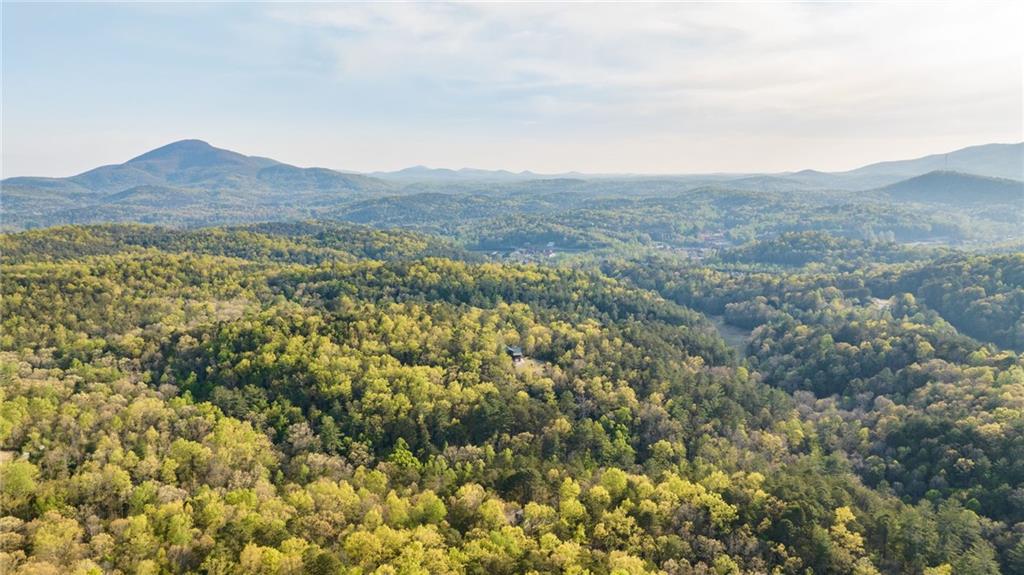 Mountain Lion Trail, Sautee Nacoochee, Georgia image 6
