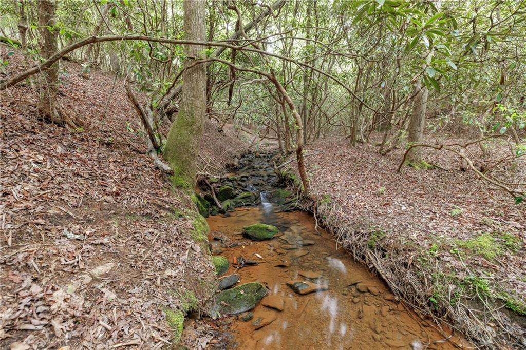 Mountain Lion Trail, Sautee Nacoochee, Georgia image 46