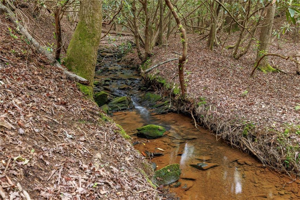 Mountain Lion Trail, Sautee Nacoochee, Georgia image 45