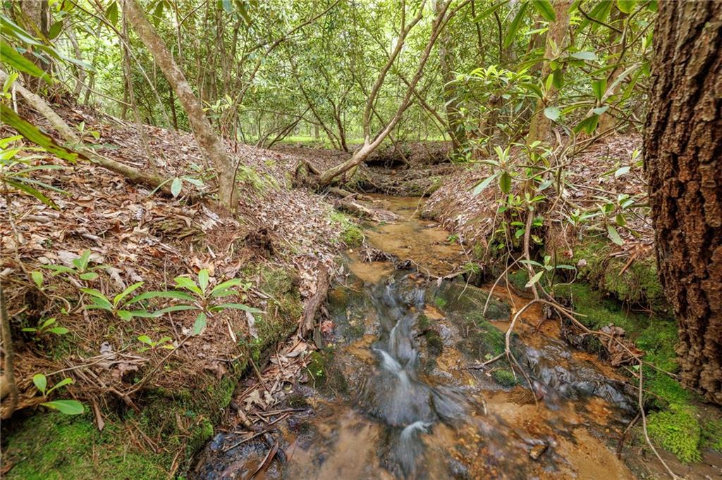 Mountain Lion Trail, Sautee Nacoochee, Georgia image 38