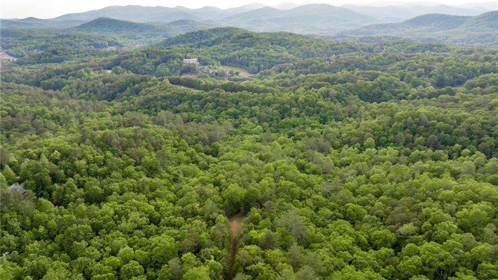 Mountain Lion Trail, Sautee Nacoochee, Georgia image 18