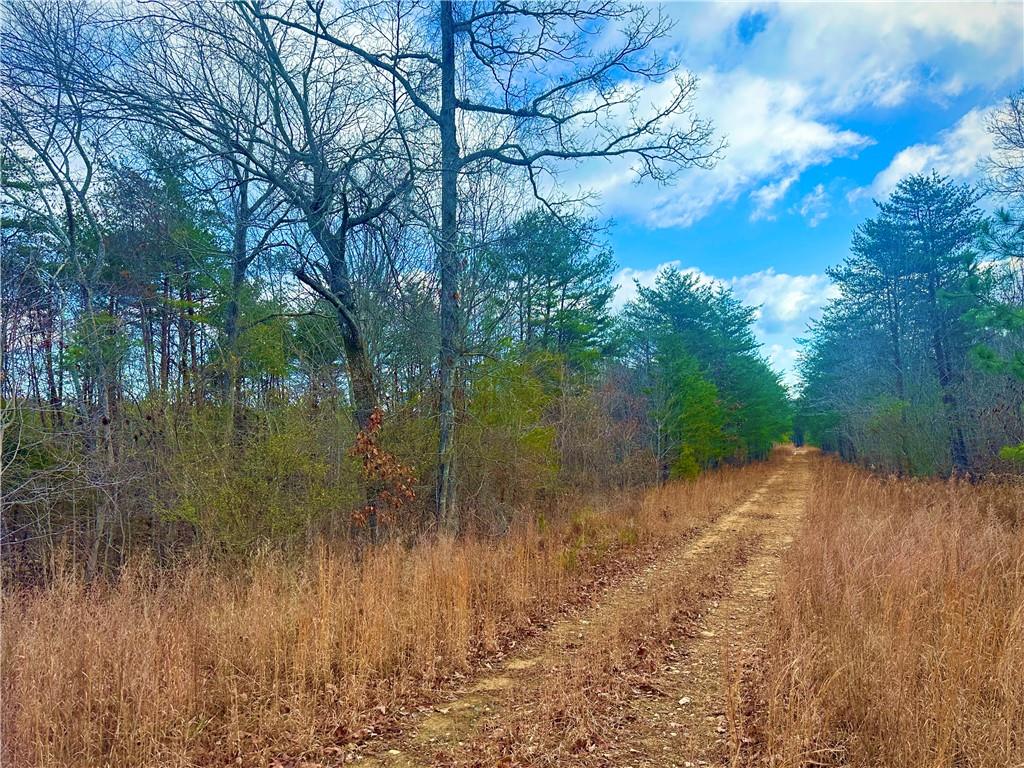 E Valley Road, Rydal, Georgia image 18