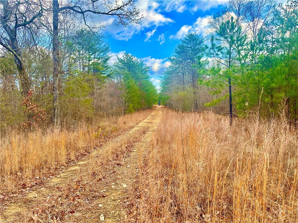 E Valley Road, Rydal, Georgia image 6