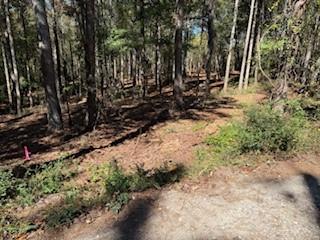 4815 Truman Mountain