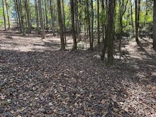 4815 Truman Mountain