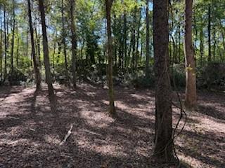 4815 Truman Mountain