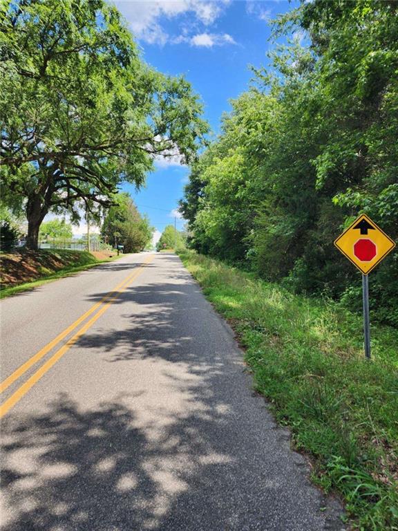 Highway 191, Danielsville, Georgia image 3