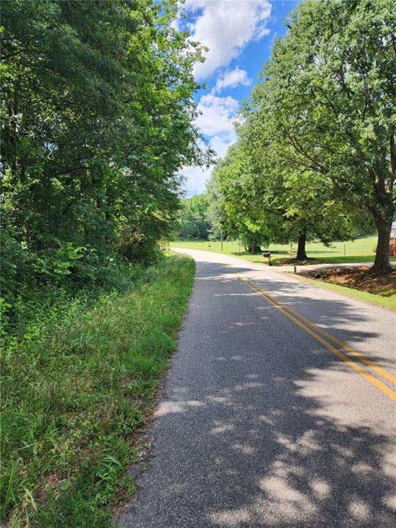 Highway 191, Danielsville, Georgia image 2