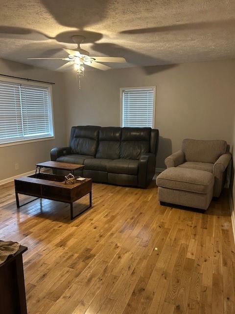 203 Jeep Street, Calhoun, Georgia image 3