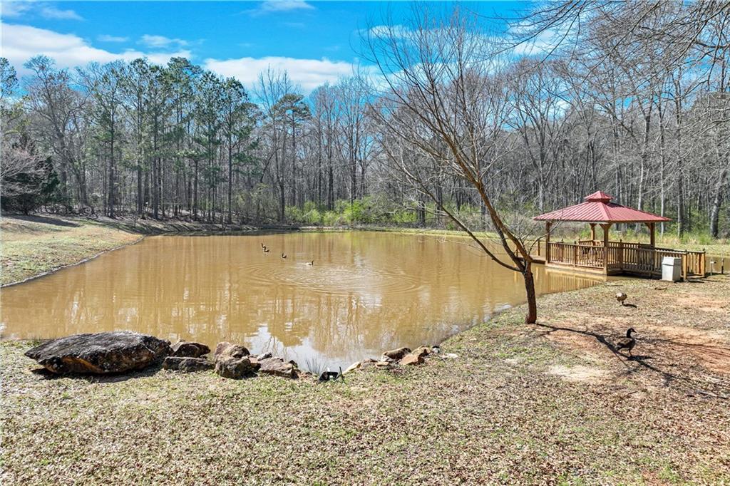 222 Meadow Wood Lane, Monroe, Georgia image 44