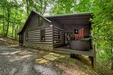 545 Chestnut Ridge Blue Ridge GA 30513