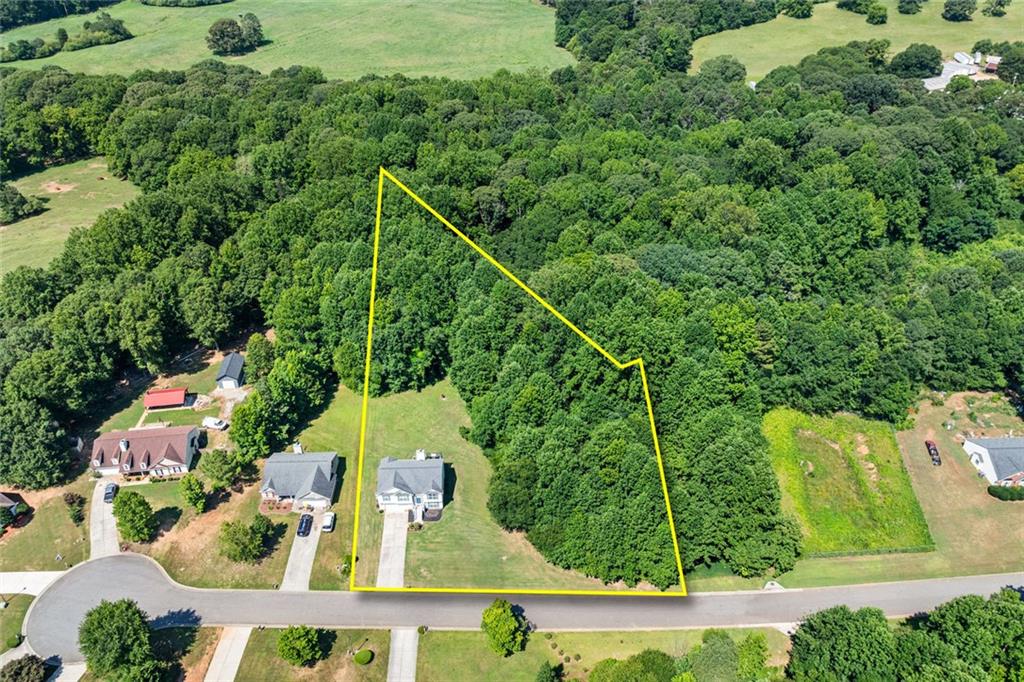 Fresh on the market at a new price! This beautiful 4 bed / 3 bath move-in ready split-foyer offers space, privacy, and many high-value updates! Set on 1.37 acres with no HOA, the charming home features a bright living room with a modern white-wash fireplace, a separate dining room, and a beautiful kitchen on the upper level, along with the primary suite and two secondary bedrooms. A beautifully renovated full hall bath serves both bedrooms and guests. The finished lower level provides a fourth bedroom, full bath, and large flex space—ideal for a teen suite, in-law setup, or home office. Major systems including roof, HVAC, water heater, and septic have been updated in recent years and remain in like-new condition. The lot blends open and wooded areas with room to make your own oasis. Convenient to Downtown Winder, shopping, schools, Hwy 316, and Athens.